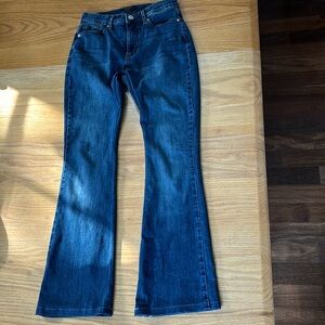 Banana Republic women’s jeans size 25 0 flare